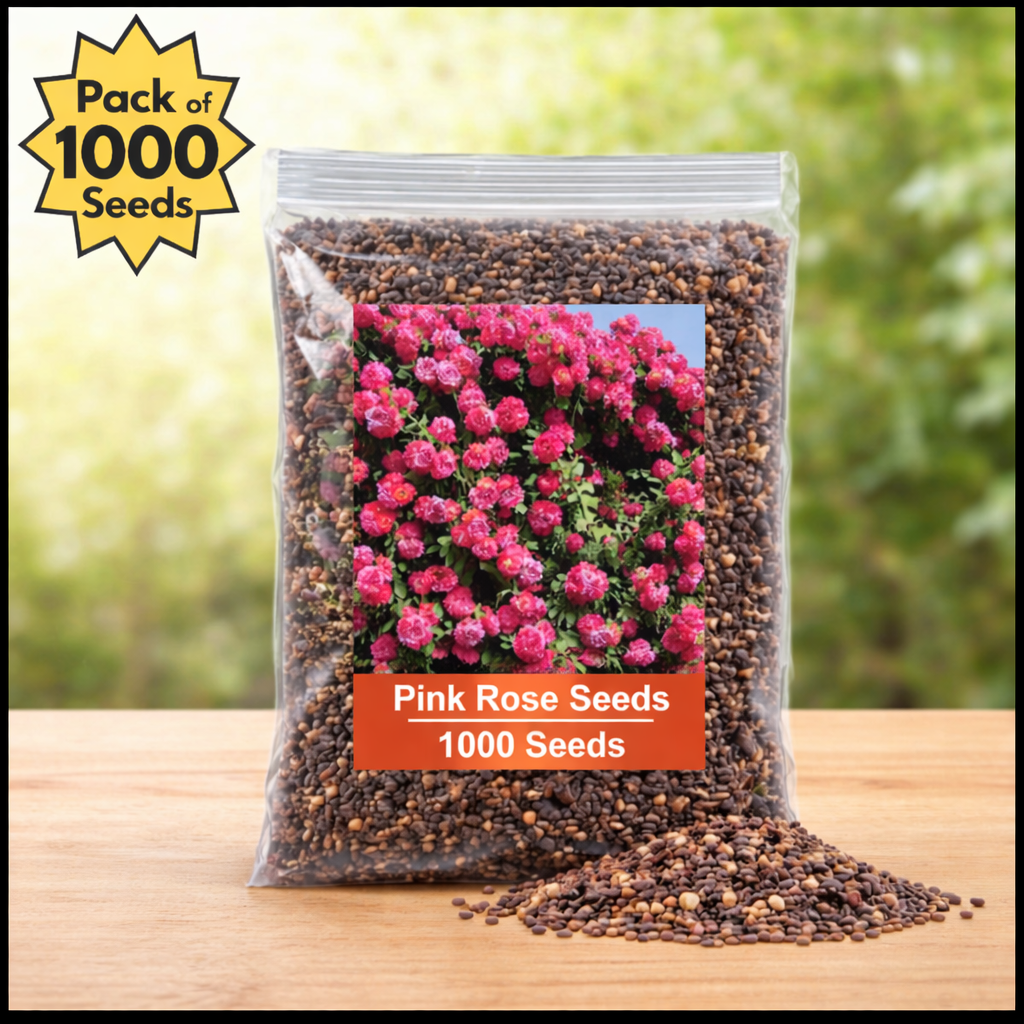 Rose Flower Seeds